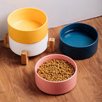 Varenza's Elevated Ceramic Pet Bowl with Stand