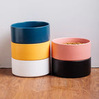 Varenza's Elevated Ceramic Pet Bowl with Stand