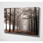 Misty Road - on Canvas