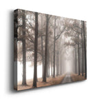 Misty Road - on Canvas