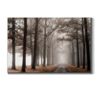 Misty Road - on Canvas