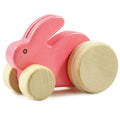 Wooden Pastel Sorting Board