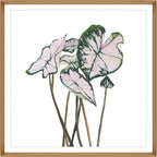 Variegated III
