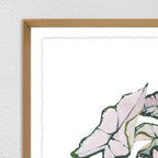 Variegated III