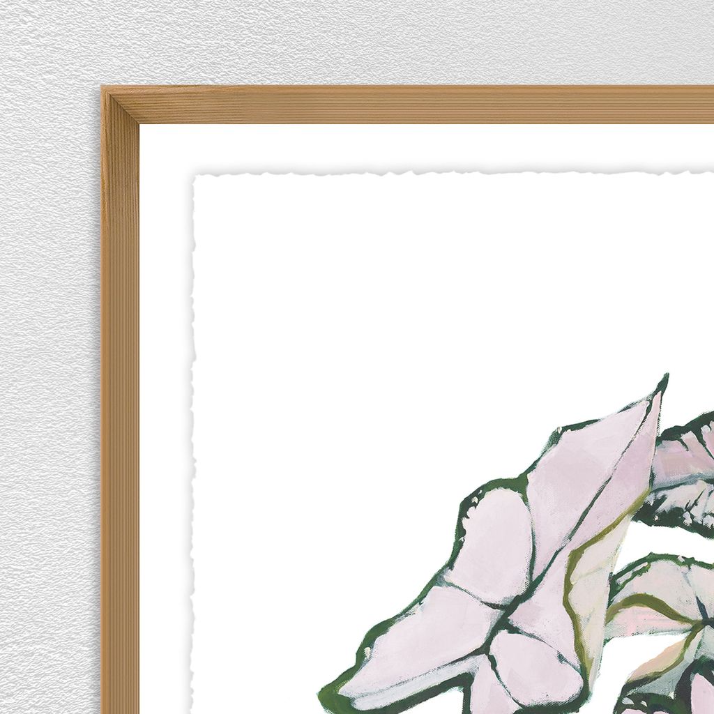 Variegated III
