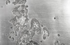 Splotch Dense Silver Wall Art